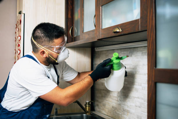 Best Pest Control for Restaurants  in Pilot Rock, OR