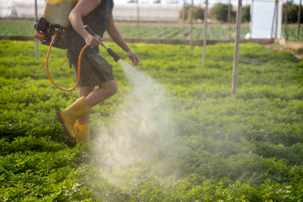 Best Mosquito Control Services  in Pilot Rock, OR