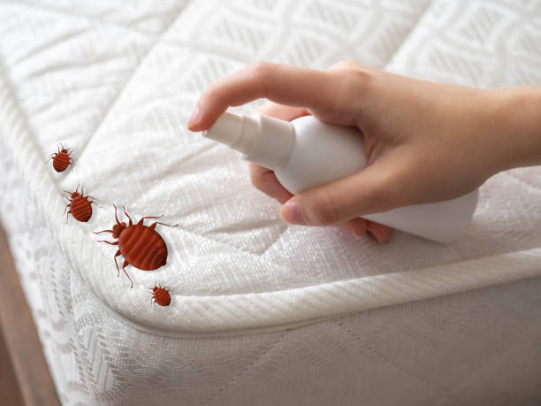 Professional Pest Control in Pilot Rock, OR