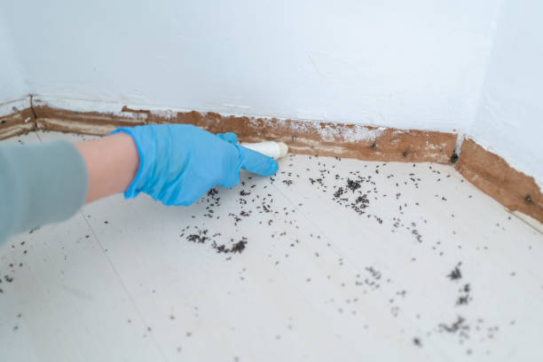 Best Best Pest Control Companies  in Pilot Rock, OR